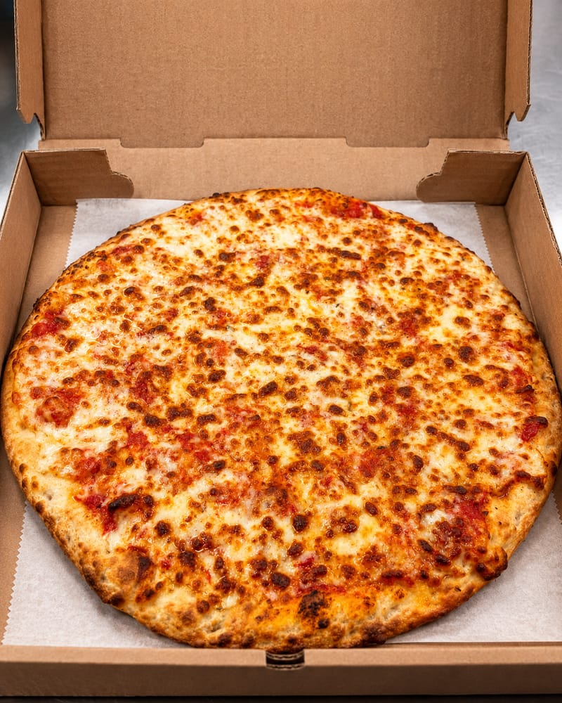 A plain cheese pizza in an open box, the mozzarella browned across the top and the crust blistered at the edge